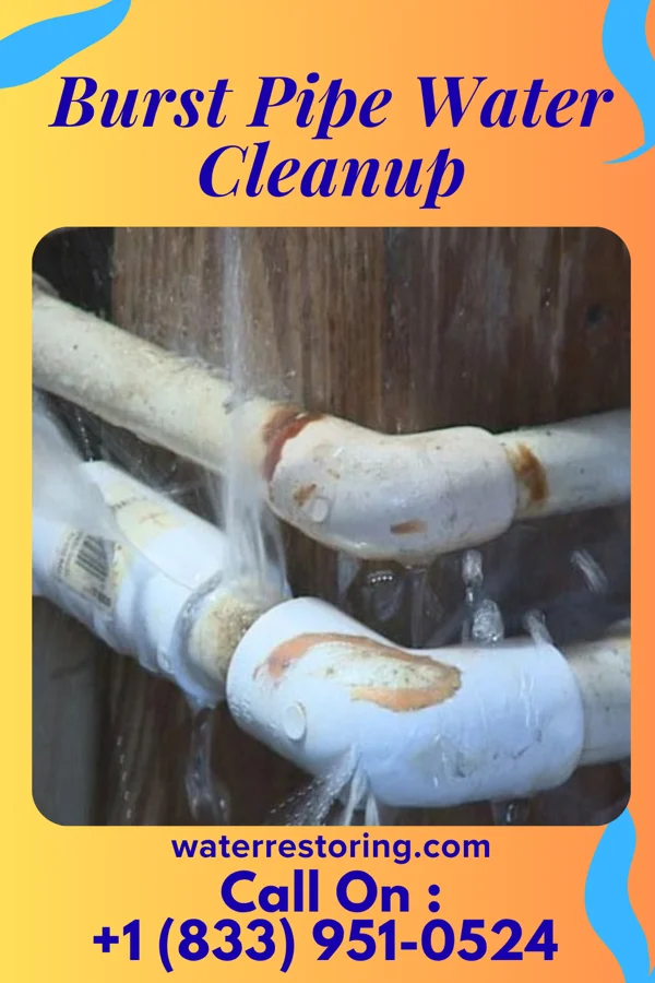 Burst Pipe Water Cleanup in Falls Creek, PA