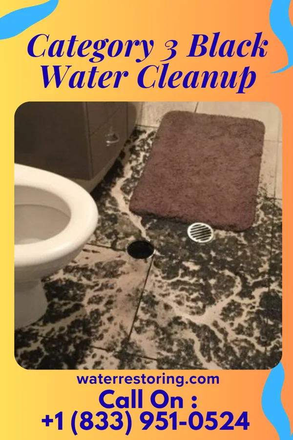 Category 3 Black Water Cleanup in Falls Creek, PA