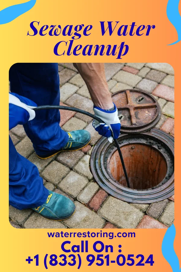 Sewage Water Cleanup in Falls Creek, PA